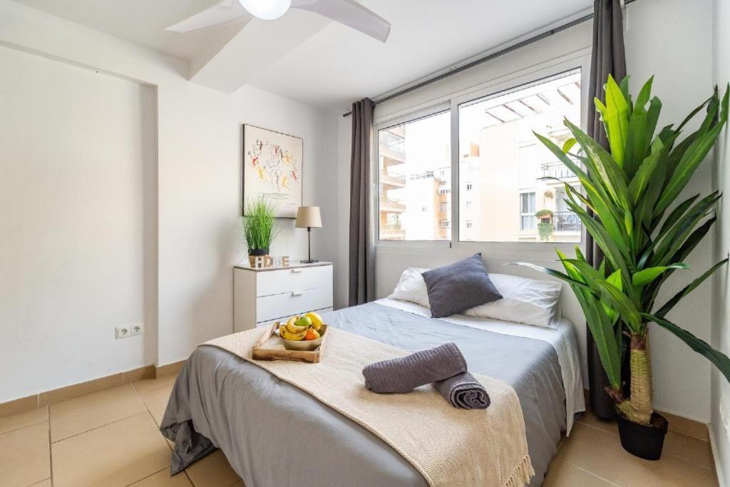 Seaside Boutique Apartment فوينخيرولا المظهر الخارجي الصورة
